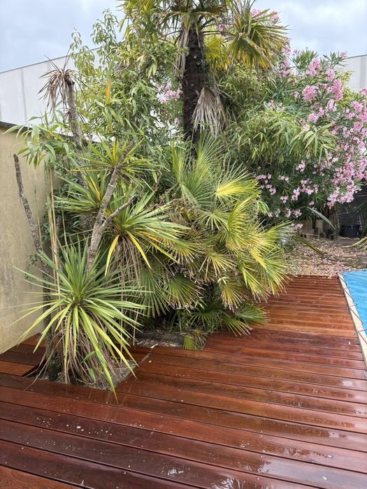 Terrasse bois le long du jardin exotique