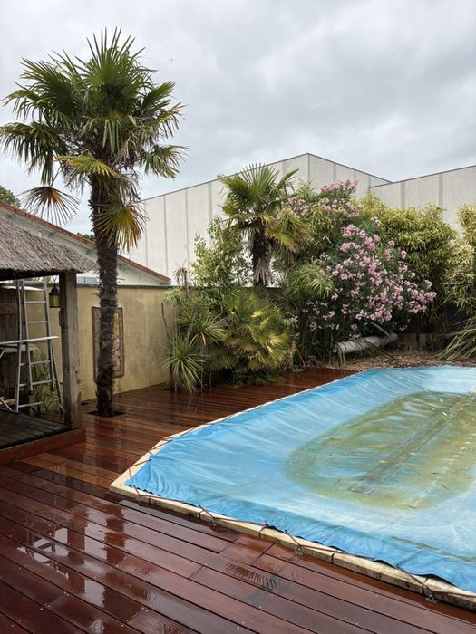 Terrasse en bois exotique autour de la piscine, jardin exotique